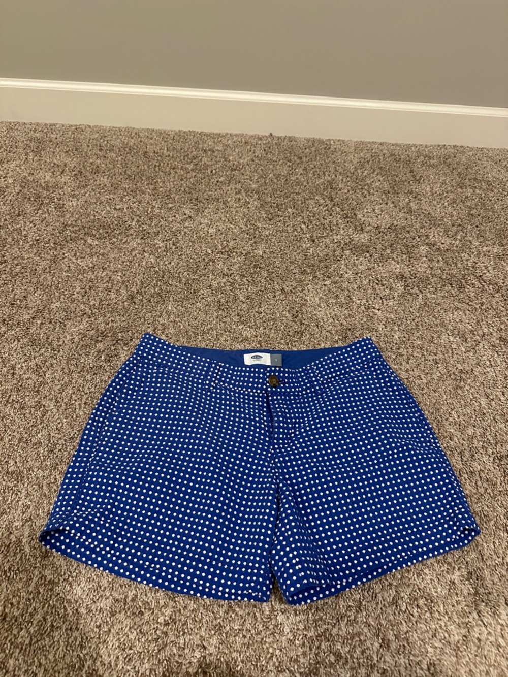 Blue Polka Dot Women's Shorts